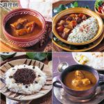 世界のカレー 10食セット border=