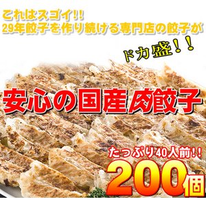 【ワケあり】安心の国産餃子200個!!40人前!! 商品写真2