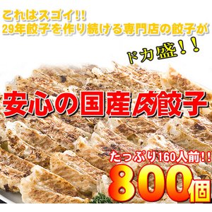 【ワケあり】安心の国産餃子800個!!160人前!! 商品写真2