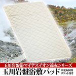 玉川岩盤浴マイナスイオン遠赤シリーズ 玉川岩盤浴 敷パッド ベージュ無地 border=