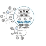 抗菌デザインマスク+コットンセット 【大人用】スター ゴールド/白 6個セット border=