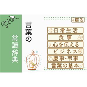 ニンテンドーDS 美しい日本語の書き方 話し方DS 商品写真4