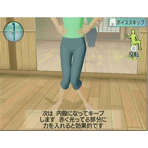 Wii アイソメトリック&カラテエクササイズ　Wiiで骨盤Fitness 商品写真5
