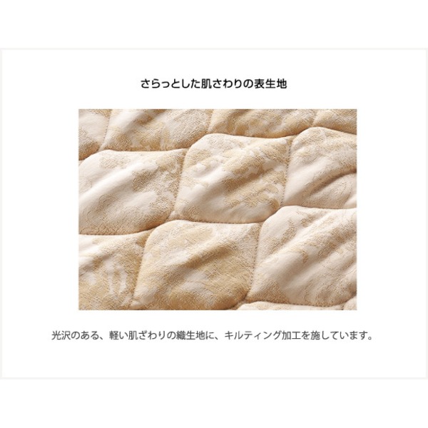 ATEX（アテックス） 家庭用電位治療器 イオネスアルファ　シングル