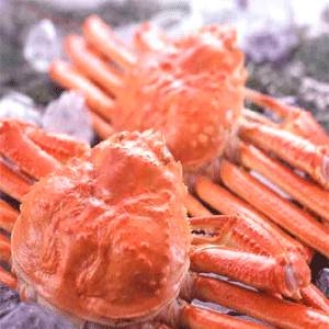 【身入り抜群のA級品!】カナダ産ボイルズワイガニ姿・約500g×2尾 冷凍ズワイ蟹 商品写真