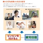 ピンピン 永久磁石磁気治療器 24時間足裏ケア 足元から血行改善・健康に! border=