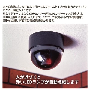 ドーム型防犯ダミーカメラ CDSセンサー/LEDランプ付き (防犯対策) 商品写真3