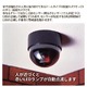 ドーム型防犯ダミーカメラ CDSセンサー/LEDランプ付き (防犯対策) - 縮小画像3