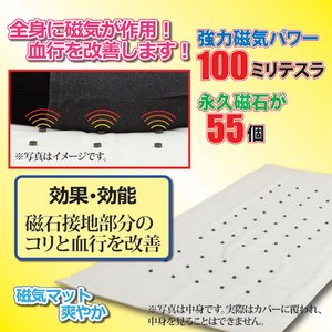 磁気マット「爽やか」 【花柄ピンク】 シングルサイズ 綿100% ゴムバンド付き 日本製 商品写真3
