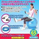 バランスボール/アクティブシェイプボール 【台座・エキスパンダー付き】 直径65cm border=