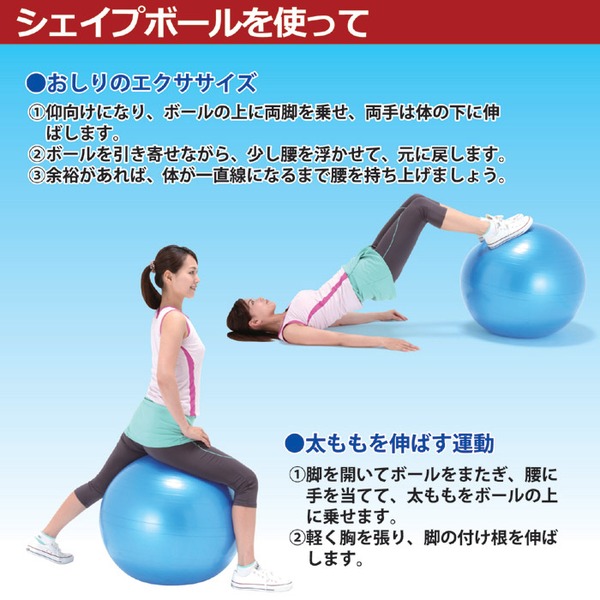 バランスボール/アクティブシェイプボール 【台座・エキスパンダー付き】 直径65cm