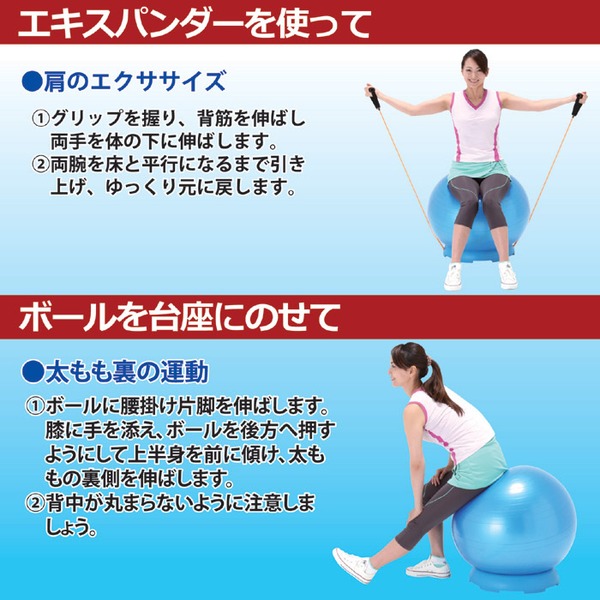 バランスボール/アクティブシェイプボール 【台座・エキスパンダー付き】 直径65cm