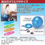 バランスボール/アクティブシェイプボール 【台座・エキスパンダー付き】 直径65cm border=