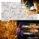 LEDイルミネーションライト 【100球 ブルー】 ソーラー充電 防滴 自動点灯 8パターン点灯 〔クリスマス イベント ディスプレイ〕 - 縮小画像3
