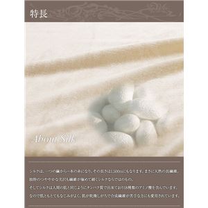ニッケ 日本製 シルク毛布(毛羽部分100%) シングル 商品写真3
