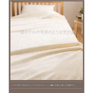 ニッケ 日本製 シルク毛布(毛羽部分100%) シングル 商品写真5