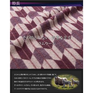 ニッケ 日本製 ラムウール毛布(毛羽部分100%)矢がすり和柄 シングル ネイビー 商品写真3