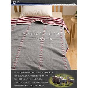 ニッケ 日本製 ラムウール毛布(毛羽部分100%) リバーシブル シングル ネイビー 商品写真3