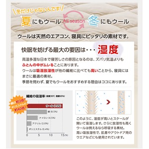 日本製 洗えるウール100%敷パッド(消臭 吸湿) シングルロング(100x210cm) ベージュ 商品写真3