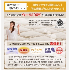 日本製 洗えるウール100%敷パッド(消臭 吸湿) シングルロング(100x210cm) ベージュ 商品写真4