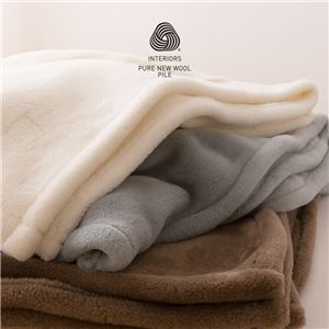 日本製ジロンエクストラファインウールマイヤー毛布 シングル ブラウン 商品写真2