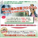 背中の痛み ストレッチ・矯正・エクササイズ改善法DVD【上田式】