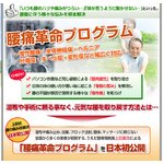 腰痛ストレッチ・矯正・エクササイズDVD【上田式改善法】