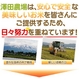 【お試しに！平成28年産】 澤田農場の新潟県上越産コシヒカリ玄米 5ｋｇ - 縮小画像3