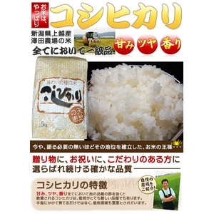 【平成28年産】 澤田農場の新潟県上越産コシヒカリ玄米 10kg(5kg×2袋) 商品写真2