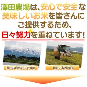 【平成28年産】 澤田農場の新潟県上越産コシヒカリ玄米 10kg(5kg×2袋) 商品写真3