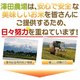 【お試しに！平成28年産】 澤田農場の新潟県上越産コシヒカリ白米 5ｋｇ - 縮小画像3