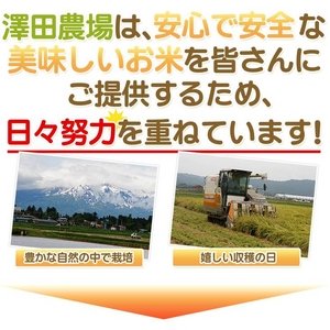 【平成28年産】 澤田農場の新潟県上越産コシヒカリ白米 20kg(5kg×4袋) 商品写真3