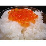 【お試しに!平成28年産】 澤田農場の新潟県上越産ミルキークイーン玄米 5kg border=