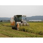 【お試しに!平成28年産】 澤田農場の新潟県上越産ミルキークイーン玄米 5kg border=