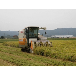 澤田農場のオリジナルブレンド米(三和音)玄米 20kg(5kg×4袋) 商品写真3