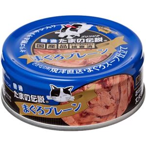 （まとめ）食通たまの伝説 まぐろプレーン 80g (ペット用品・猫フード)【×48セット】