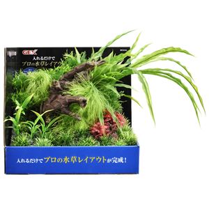 （まとめ）癒し水景 アクアキャンバス F-L Big【×2セット】