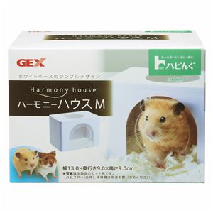 （まとめ）ハビんぐ ハーモニーハウス M【×3セット】