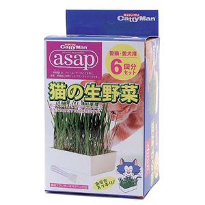 （まとめ）キャティーマンasap猫の生野菜 6回分【×24セット】