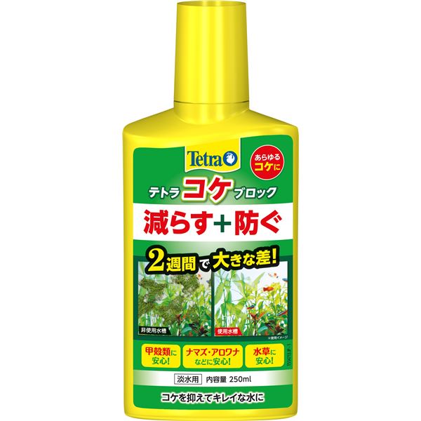 (まとめ）テトラ コケブロック 250ml（ペット用品）【×6セット】