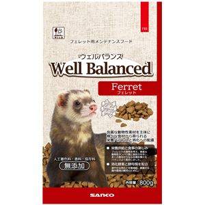 （まとめ） ウェルバランス フェレットフード　800g （ペット用品） 【×3セット】