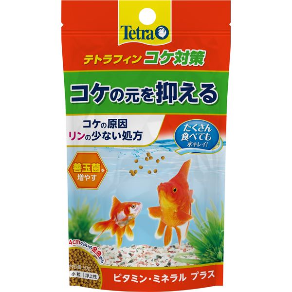 （まとめ） テトラフィン コケ対策 60g （ペット用品） 【×15セット】