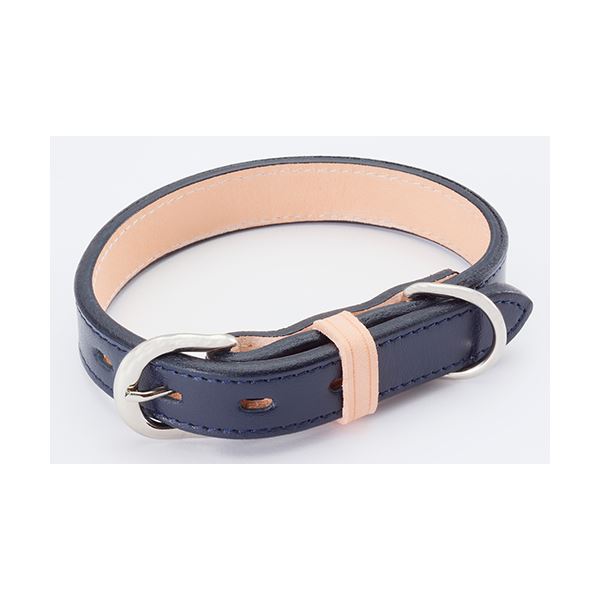 レザースタイルカラー S ネイビー (犬用品/首輪)