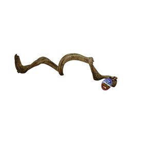 (まとめ)スパイラル・パーチ L60【×2セット】 (小動物用品/玩具)