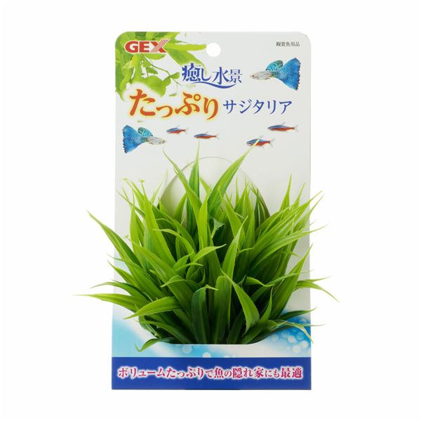 （まとめ）癒し水景 たっぷり サジタリア【×5セット】 (観賞魚/水槽用品)