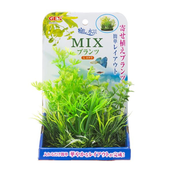 （まとめ）癒し水景 MIXプランツL ロタラ【×3セット】 (観賞魚/水槽用品)