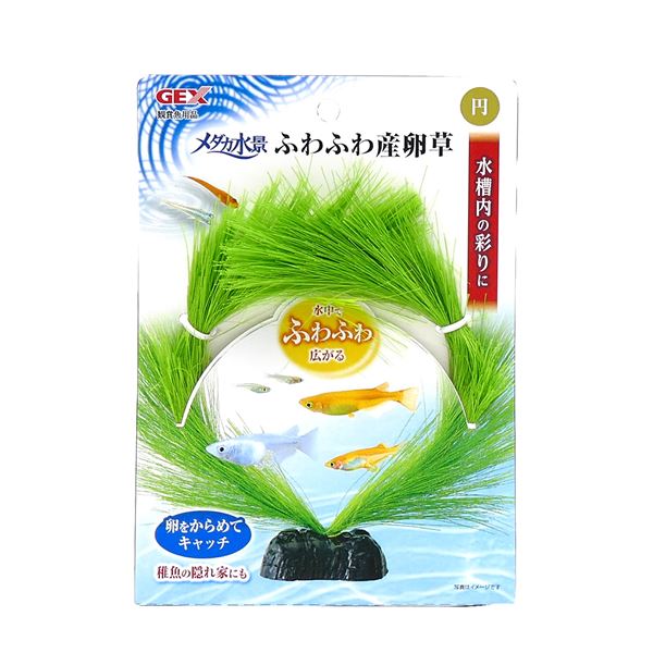 （まとめ）メダカ水景 ふわふわ産卵草 円【×3セット】 (観賞魚/水槽用品)