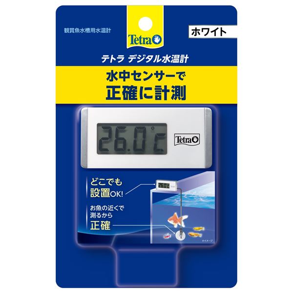 （まとめ）デジタル水温計 ホワイト WD-1【×3セット】 (観賞魚/水槽用品)