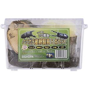 日本製クワガタ産卵飼育セット