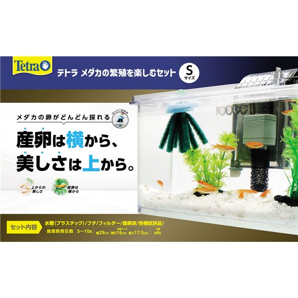 メダカの繁殖を楽しむセット S （観賞魚用品／水槽用品）